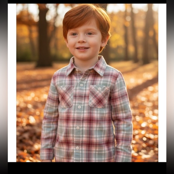 Janie and Jack Other - NWT-  Janie and Jack Plaid Button Down Shirt